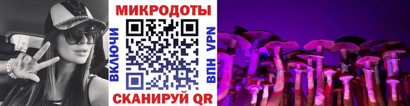 где продают   Тарко-Сале  Псилоцибиновые грибы MAGIC MUSHROOMS 